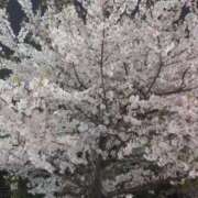 ヒメ日記 2026/04/08 22:15 投稿 のん【鳴りやまない喘ぎ】 STELLA TOKYO－ステラトウキョウ－