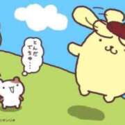 ヒメ日記 2026/08/11 03:17 投稿 のん【鳴りやまない喘ぎ】 STELLA TOKYO－ステラトウキョウ－