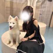 ヒメ日記 2026/10/01 23:48 投稿 のん【鳴りやまない喘ぎ】 STELLA TOKYO－ステラトウキョウ－