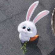 あまね 🐰 イエローキャブ