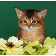 ヒメ日記 2026/02/22 19:37 投稿 なこ ミセス ファースト -お姉さん・若妻専門店-