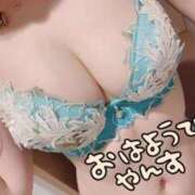 ヒメ日記 2026/06/18 14:36 投稿 なこ ミセス ファースト -お姉さん・若妻専門店-