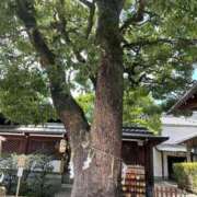 ヒメ日記 2025/01/01 16:35 投稿 華澄/かすみ　centu STYLISH BACH