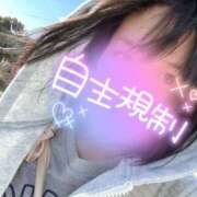 ヒメ日記 2025/02/09 10:52 投稿 ちふゆ☆ 豊橋豊川ちゃんこ