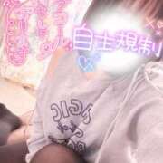 ヒメ日記 2025/02/26 10:30 投稿 ちふゆ☆ 豊橋豊川ちゃんこ