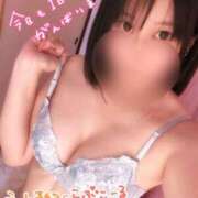 ヒメ日記 2025/04/29 18:22 投稿 ちふゆ☆ 豊橋豊川ちゃんこ