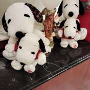 ヒメ日記 2025/09/27 12:02 投稿 照井まほ 五十路マダム愛されたい熟女たち岡山店（カサブランカグループ）