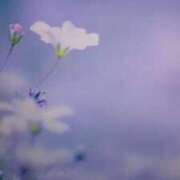 ヒメ日記 2024/12/30 13:34 投稿 沙月曜子(さつきようこ) 五十路マダムエクスプレス厚木店(カサブランカグループ)