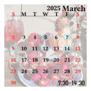 ヒメ日記 2025/02/24 19:41 投稿 きっか バイオレンス