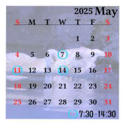 ヒメ日記 2025/04/23 17:35 投稿 きっか バイオレンス