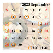 ヒメ日記 2025/08/22 22:25 投稿 きっか バイオレンス