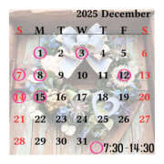 ヒメ日記 2025/11/24 20:05 投稿 きっか バイオレンス