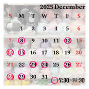 きっか 【12月後半🔔】 バイオレンス