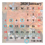 ヒメ日記 2025/12/24 16:15 投稿 きっか バイオレンス