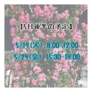 きっか 【5月後半‼️】 バイオレンス