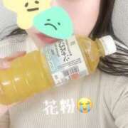 ヒメ日記 2025/02/15 12:28 投稿 神崎ひなた 恋する妻たち