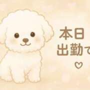 ヒメ日記 2025/07/27 03:08 投稿 神崎ひなた 恋する妻たち