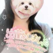 ヒメ日記 2025/07/27 17:08 投稿 神崎ひなた 恋する妻たち