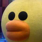 ヒメ日記 2025/11/13 11:18 投稿 神崎ひなた 恋する妻たち