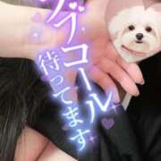 ヒメ日記 2025/11/19 23:58 投稿 神崎ひなた 恋する妻たち