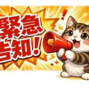 ヒメ日記 2026/03/01 17:28 投稿 神崎ひなた 恋する妻たち