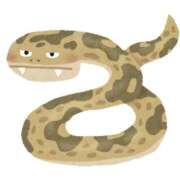 ヒメ日記 2025/03/15 15:43 投稿 ももか 木更津人妻花壇