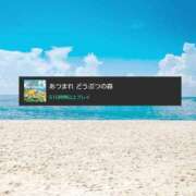 ももか 5周年 木更津人妻花壇