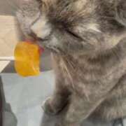 ヒメ日記 2025/01/22 16:49 投稿 るく サンキュー厚木店