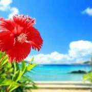 ヒメ日記 2025/07/30 12:29 投稿 りさ Lesson.1沖縄校