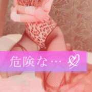 ヒメ日記 2024/12/15 17:26 投稿 このは マリン宇都宮店