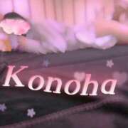 ヒメ日記 2025/11/15 20:26 投稿 このは マリン宇都宮店