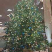 ヒメ日記 2025/12/22 09:14 投稿 ゆみこ 池袋おかあさん