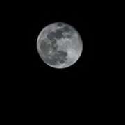 ヒメ日記 2026/01/05 19:05 投稿 ゆみこ 池袋おかあさん