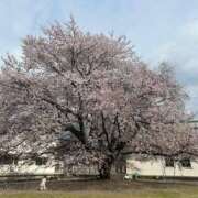 ヒメ日記 2026/03/31 23:42 投稿 ゆうら OKINI立川