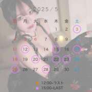 ヒメ日記 2025/04/30 13:22 投稿 ことり The White