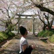 ヒメ日記 2025/05/13 13:58 投稿 ことり The White