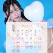 ヒメ日記 2025/05/20 15:01 投稿 ことり The White