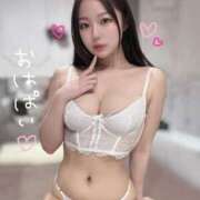 ヒメ日記 2025/07/01 14:13 投稿 ことり The White