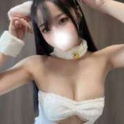 ヒメ日記 2025/09/27 12:31 投稿 ことり The White