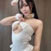 ヒメ日記 2025/10/17 13:50 投稿 ことり The White