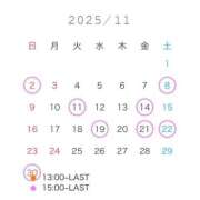 ヒメ日記 2025/10/28 00:12 投稿 ことり The White