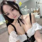 ヒメ日記 2025/12/15 22:03 投稿 ことり The White