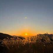 ことり 同じ写真を連投してしまい申し訳ございま㌢㍍ The White