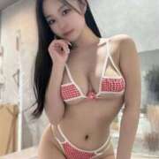 ヒメ日記 2025/12/29 16:24 投稿 ことり The White