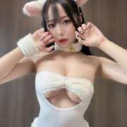 ヒメ日記 2026/01/08 15:02 投稿 ことり The White