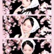 ヒメ日記 2026/03/23 14:47 投稿 ことり The White