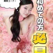 ことり 🔰迷ったらとりあえず見とけ🔰 The White