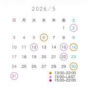 ヒメ日記 2026/04/27 19:21 投稿 ことり The White