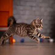 ヒメ日記 2025/01/04 12:15 投稿 新人・千佳(ちか) グランドオペラ福岡