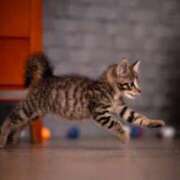 ヒメ日記 2025/03/17 20:22 投稿 新人・千佳(ちか) グランドオペラ福岡